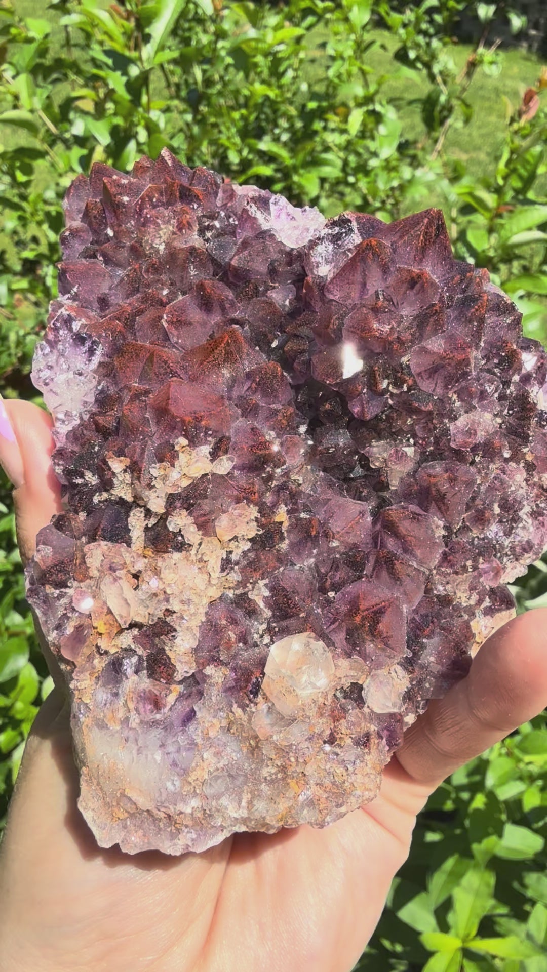 Auralite (Thunder Bay, Ontario)