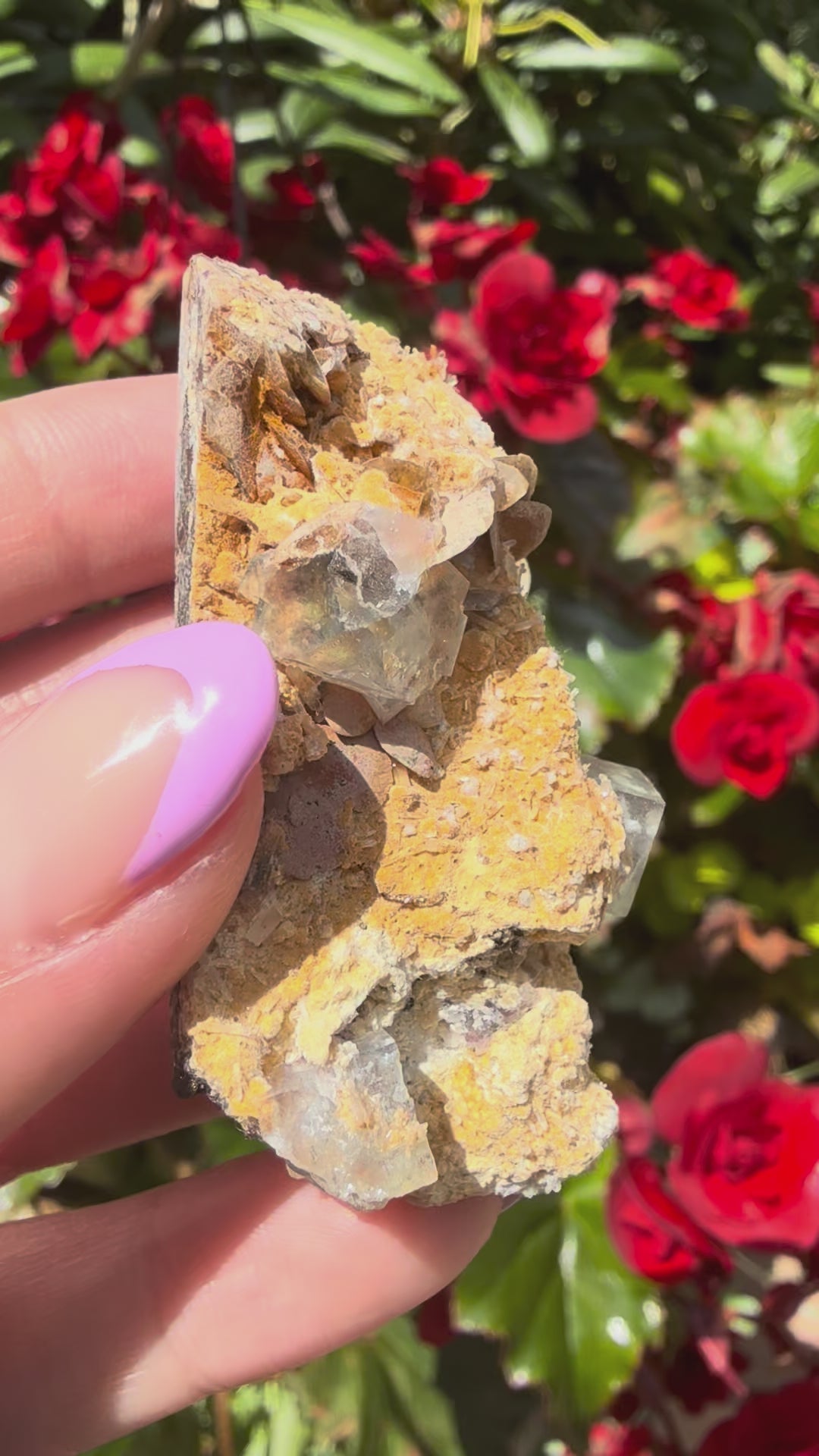 Fluorite (Yindu, Inner Mongolia)