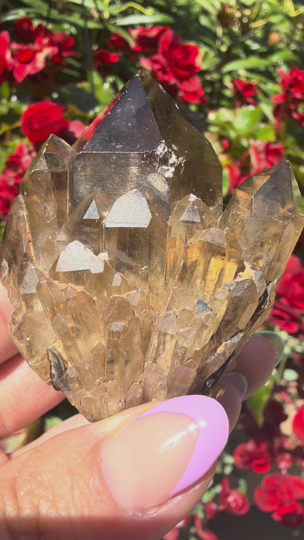 Kundalini Citrine (Congo)